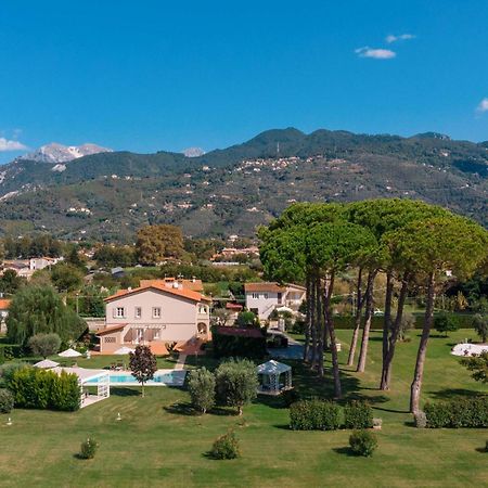 Bed and Breakfast La Campagnola à Pietrasanta Extérieur photo